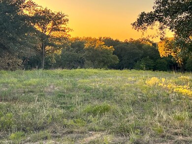 TBD Sandpiper Dr, Weatherford, TX 76088 - photo 6