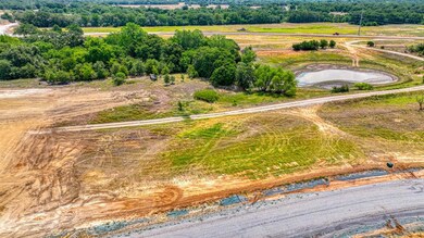 Lot 16 Aslan Rd, Poolville, TX 76487 - photo 5