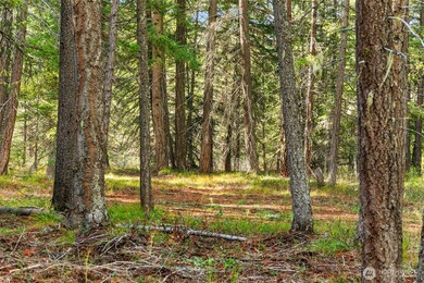 0 S Shugart Flats Rd, Leavenworth, WA 98826 - photo 7