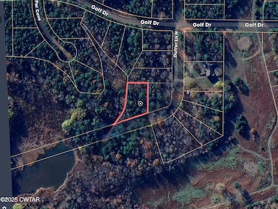 1131 Duffer Ln N, Saulsbury, TN 38067 - photo 4