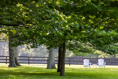 MEDIUM_RES-HIGH_RES_040_240805_EJ_blue_h