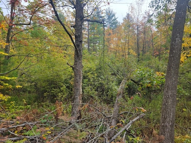 0 V L E 22 3 4 Rd, Manton, MI 49663 - photo 7