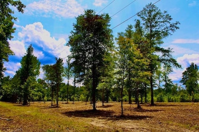 Expose Rd unit LotWP001, Columbia, MS 39429 - photo 3