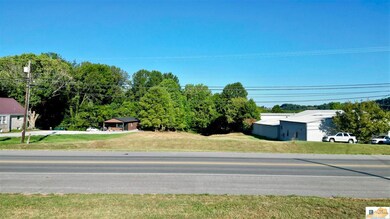1290 Campbellsville Rd, Columbia, KY 42728 - photo 5