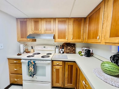 1618 Camellia Dr unit D-2, Munster, IN 46321 - photo 5