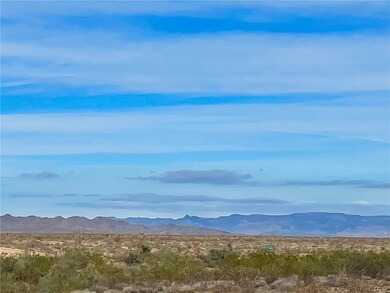 2100 S Lone Ranger Rd, Yucca, AZ 86438 - photo 6