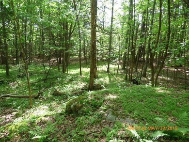 2022 Berme Rd, Kerhonkson, NY 12446 - photo 7