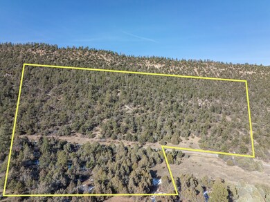 DJI_0828Lines