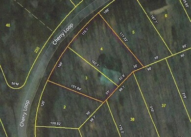 170 Cheree Loop, Stewart, TN 37175 - photo 5