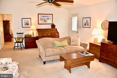 515 S Kinzer Ave, New Holland, PA 17557 - photo 4