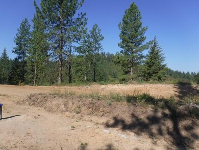 Lot 4 Moose Ridge Way, Loon Lake, WA 99148 - photo 5