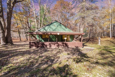 3385 Jones Rd, Beaverton, MI 48612 - photo 3