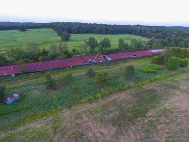 5.0 AC Lynch Rd, Fayetteville, AR 72704 - photo 5