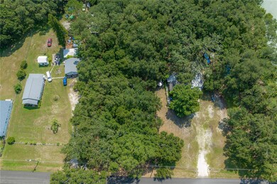 1906 Hobbs Rd, Tampa, FL 33619 - photo 5