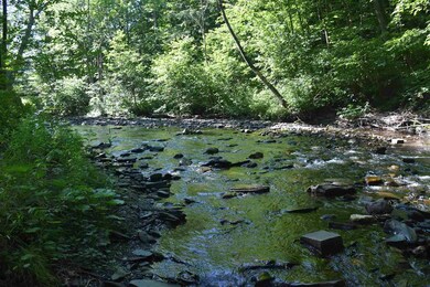 1232 Route 12 S, Northfield, VT 05663 - photo 2