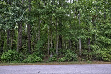 Lot 5 Greenway Dr, Jacksonville, NC 28546 - photo 7