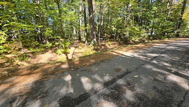 Lot 8 Alpine Rd, Bridgton, ME 04009 - photo 4