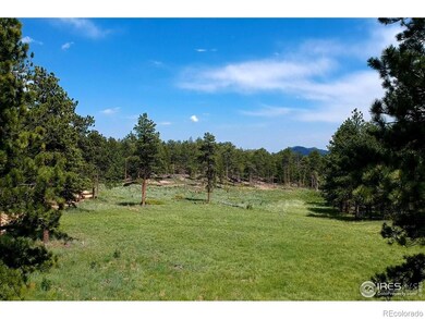 18673 State Highway 7, Lyons, CO 80540 - photo 5