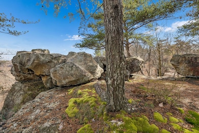 233 Crestview Ln, Sparta, TN 38583 - photo 4