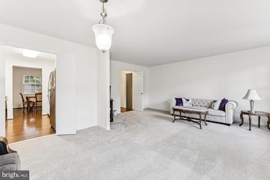 10255 Braddock Rd, Fairfax, VA 22032 - photo 6