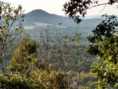 Picture taken in 2019 by Seller