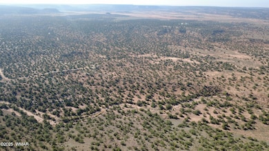 9591 Privette Ln, Snowflake, AZ 85937 - photo 5