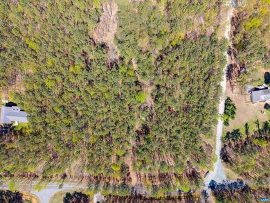 LOT 27 Martin Kings Rd unit 7600, Charlottesville, VA 22902 - photo 4