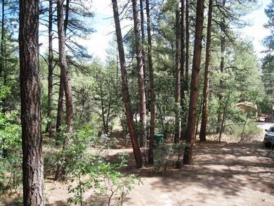 6816 W Hardscrabble Mesa Rd, Pine, AZ 85544 - photo 7