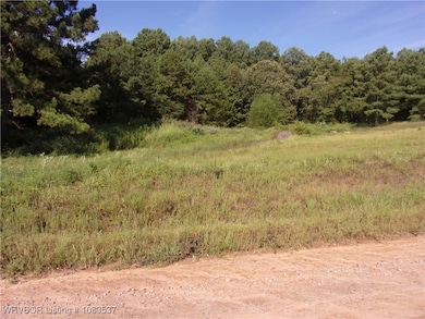 TBD Scenic View Rd, Ozark, AR 72949 - photo 3