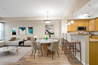 150 E Burnsville Pkwy unit 310, Burnsville, MN 55337 - photo 5