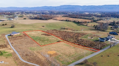 Tbd Browns Bridge Rd, Greeneville, TN 37745 - photo 2