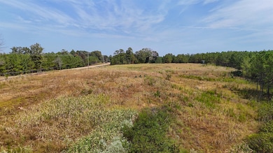 View of landscape featuring a rural view