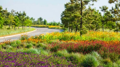 28611 Mountain Timber Ct, Fulshear, TX 77441 - photo 7