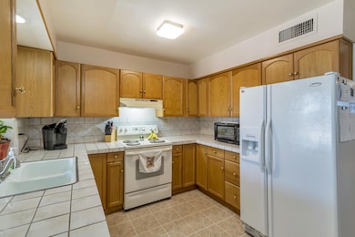 14001 N Newcastle Dr, Sun City, AZ 85351 - photo 4