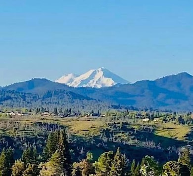 Views, Views, Views!