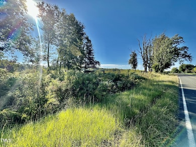 Lot 1 Jones Rd, Hurdle Mills, NC 27541 - photo 4