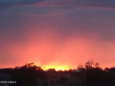 2515 E Wingfield Rd, Valle, AZ 86046 - photo 7