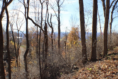 1 Gulch Rd, Meadows of Dan, VA 24120 - photo 2