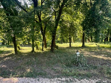 View of local wilderness