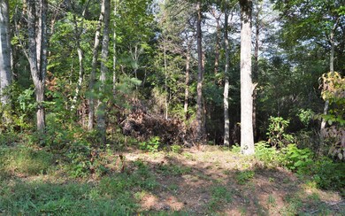 Additional View