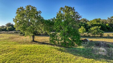 Lot 4 Carter Rd, Springtown, TX 76082 - photo 4