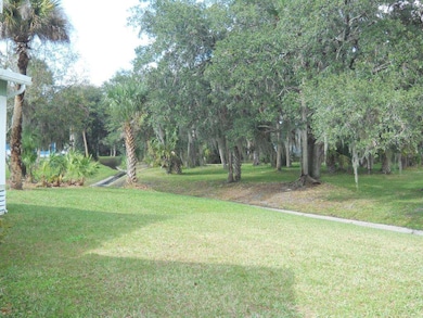 Back Yard View
