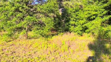 TBD SW Valencia Heights Ave, Dunnellon, FL 34431 - photo 2