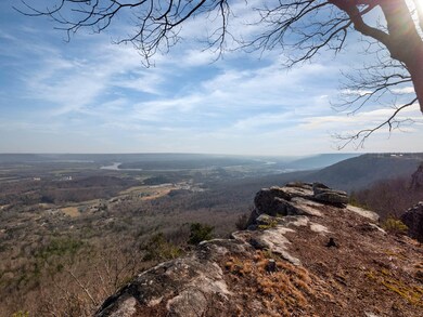 0 Hovering Hawk Dr unit RTC2912805, Jasper, TN 37347 - photo 3