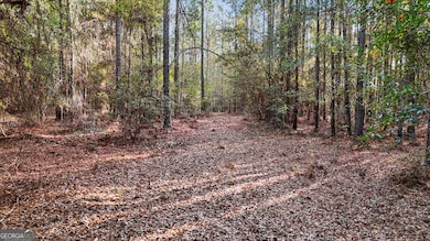 0 Massey Rd unit 10654939, Tennille, GA 31089 - photo 7