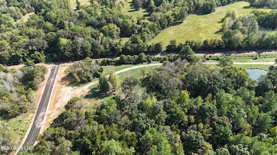 0 Tyro Branch Cove, Senatobia, MS 38668 - photo 7