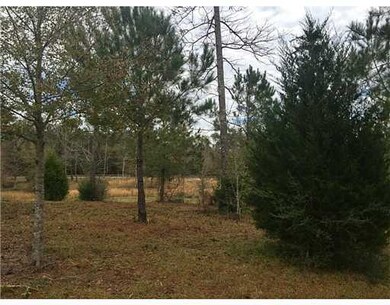 11031 Possum Fork Rd, Kiln, MS 39556 - photo 3