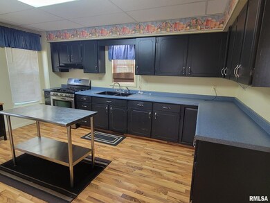 822 Decatur St, Lincoln, IL 62656 - photo 7