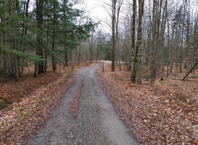 156 White Birch Rd, Morristown, VT 05661 - photo 5