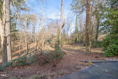 Backyard (6)